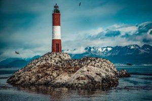 Veterinarias en Ushuaia