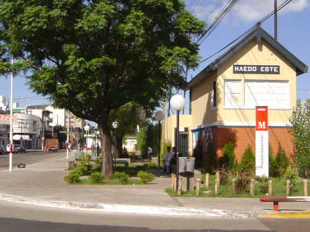 veterinarias haedo
