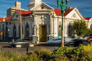 Veterinarias en Trelew