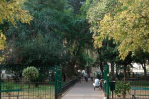 Veterinarias en Floresta