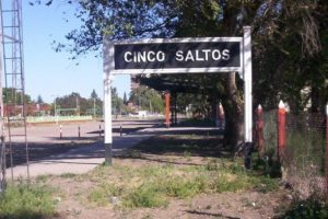 Veterinarias en Cinco Saltos