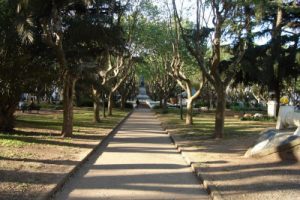 Veterinarias en Olivos