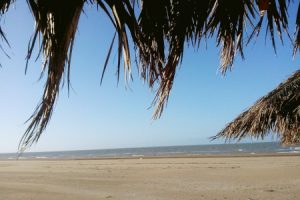 Veterinarias en San Clemente del Tuyu abiertas cerca de mí: Direcciones, teléfonos, 24 horas y urgencias