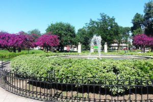 Veterinarias en Pacheco