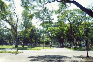 Veterinarias en Parque Patricios