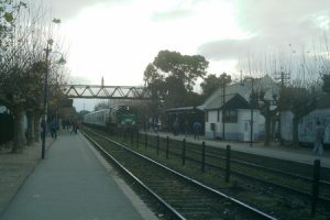 Veterinarias en Ezpeleta