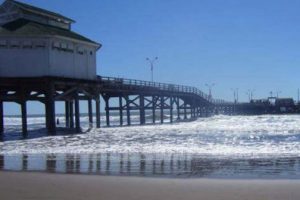 Veterinarias en Mar del Tuyu