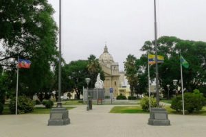 Veterinarias en Villa Nueva