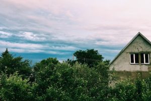 Veterinarias en San Andrés