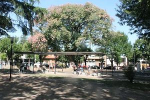 Veterinarias en Tapiales