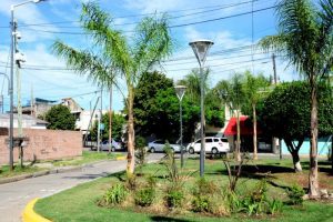 Veterinarias en Virreyes